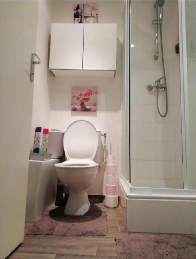 T1 Bis Calme Proche Centre Ville Daire Saint-Etienne  Dış mekan fotoğraf