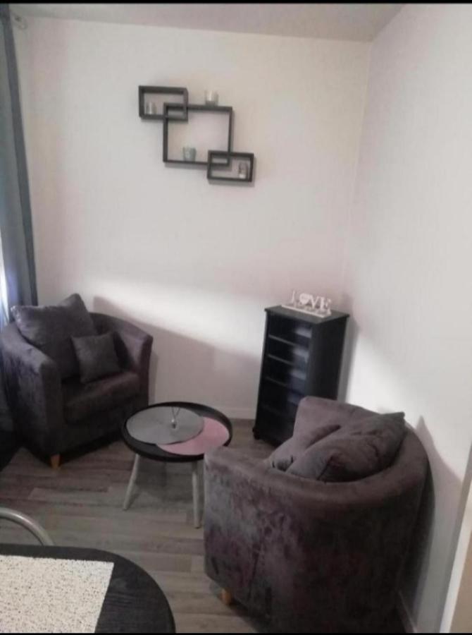 T1 Bis Calme Proche Centre Ville Daire Saint-Etienne  Dış mekan fotoğraf